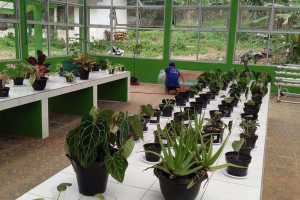 Agribisnis Tanaman Pangan dan Hortikultura